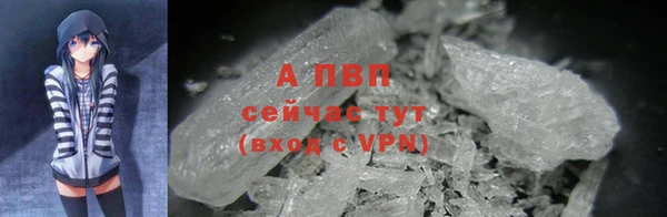 прущая мука Гусев