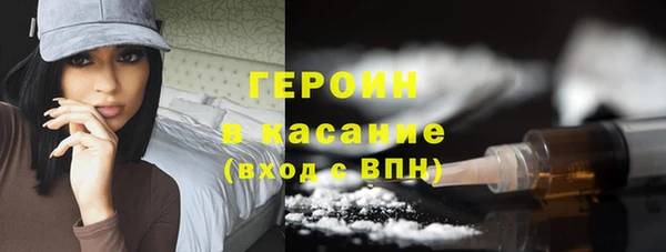 индика Горняк