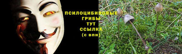 бутират Гусиноозёрск