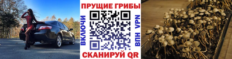 Купить где  Новый Оскол  Галлюциногенные грибы MAGIC MUSHROOMS 